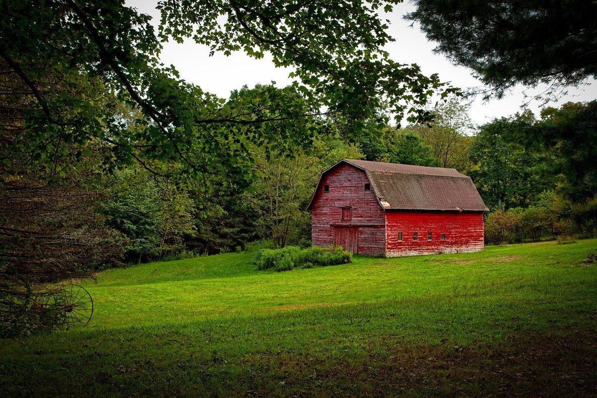 How a 100 Year Old Barn Became Part of the Next Chapter - A Rustic Feeling