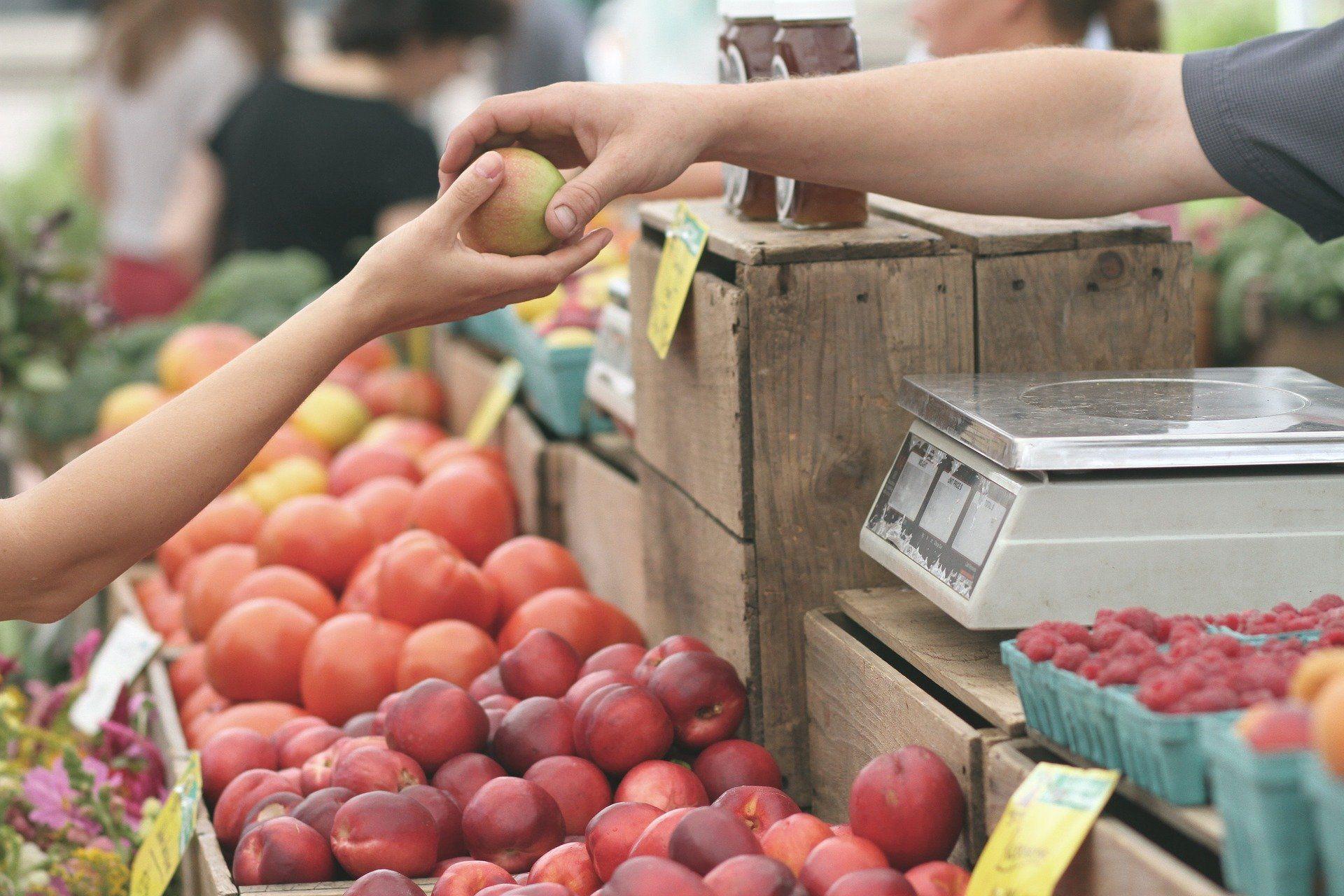 Tips and Tricks for Tackling the Farmers Market - A Rustic Feeling