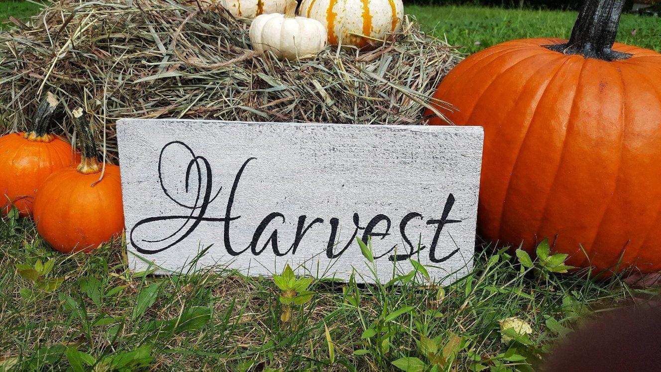 Rustic Harvest Sign - A Rustic Feeling