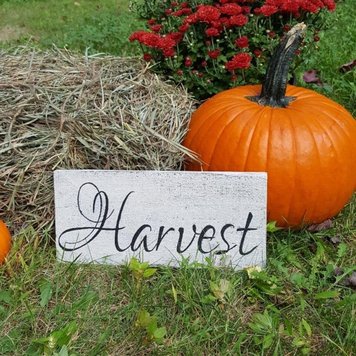 Rustic Harvest Sign - A Rustic Feeling