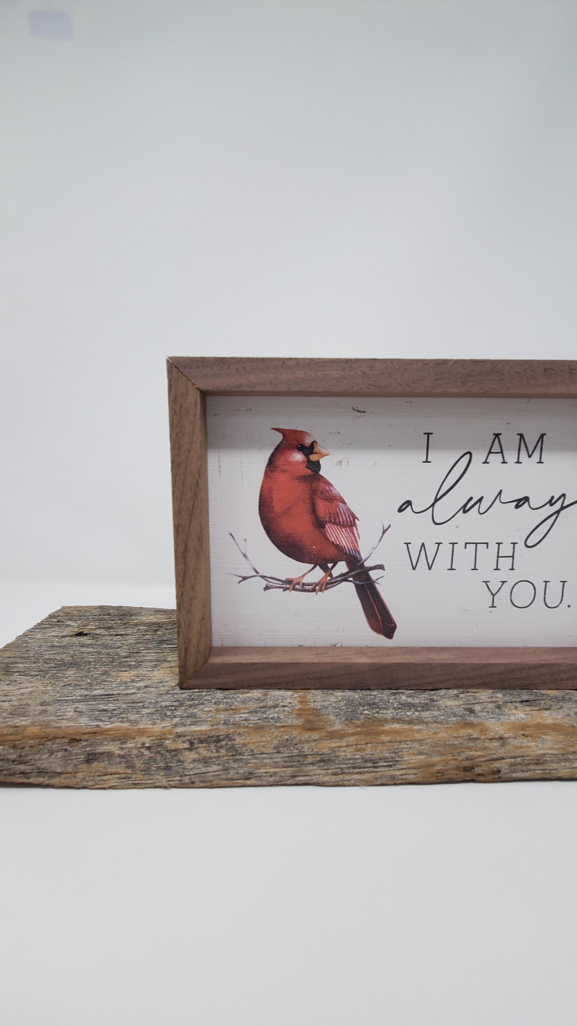 Red Cardinal Framed Print