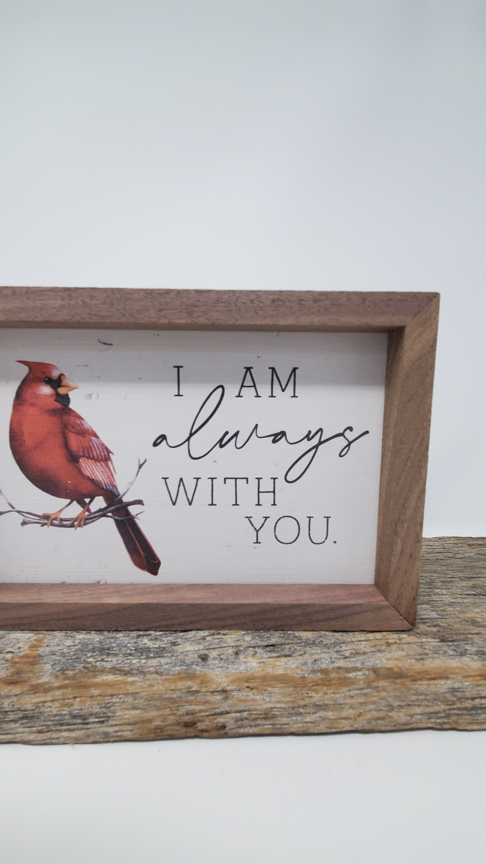 Red Cardinal Framed Print