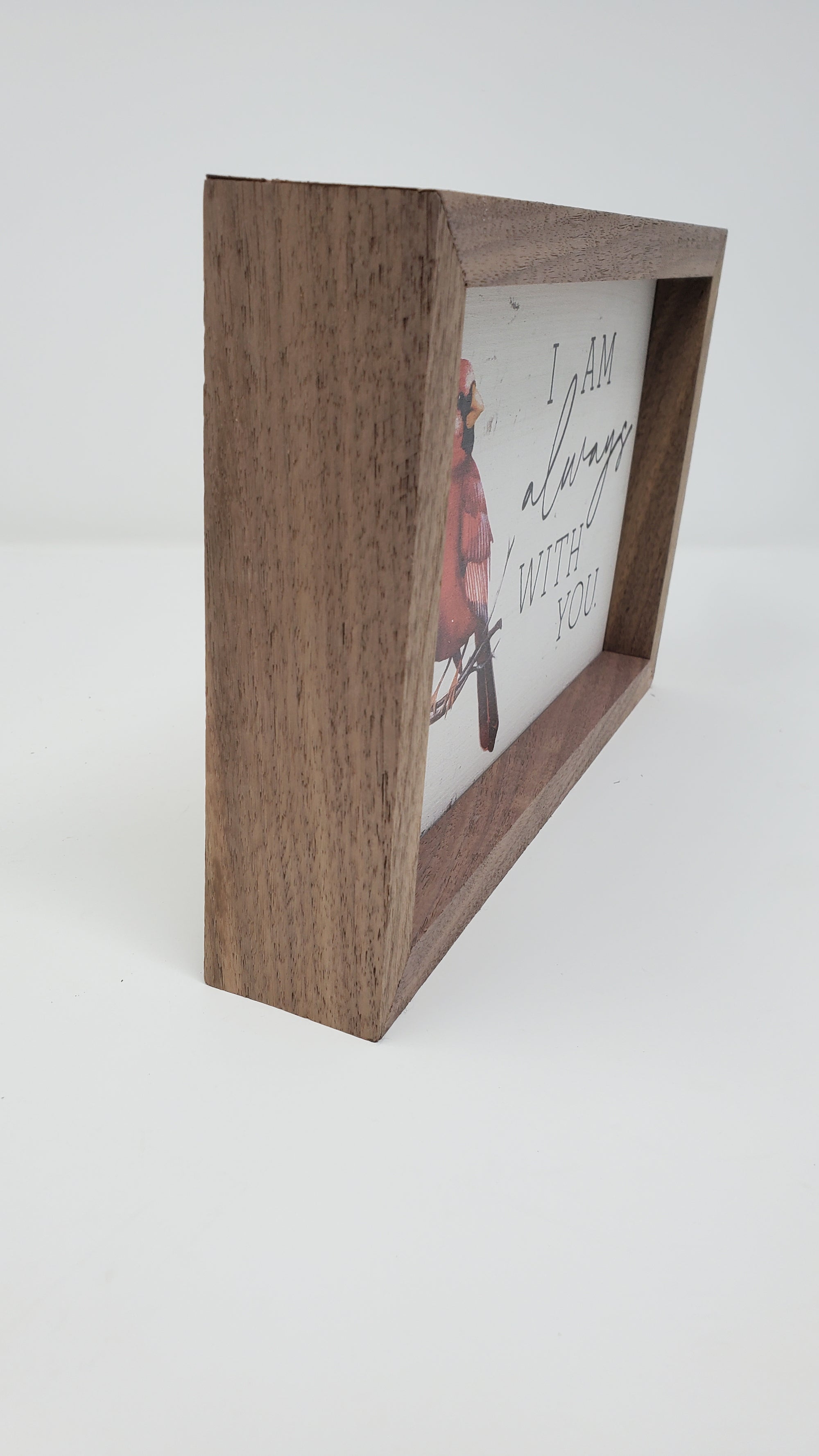 Red Cardinal Framed Print