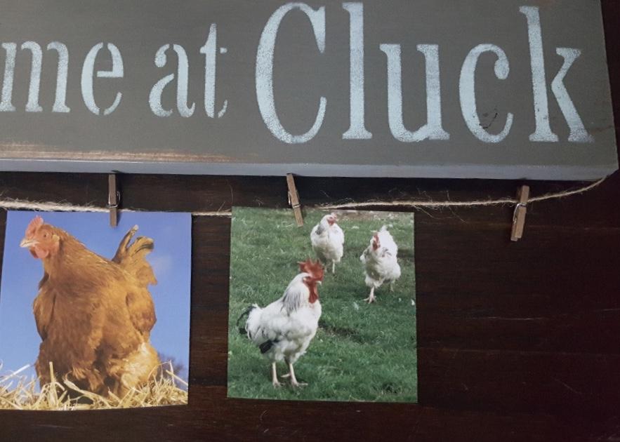 Funny Chicken Sign, You Had Me at Cluck - A Rustic Feeling