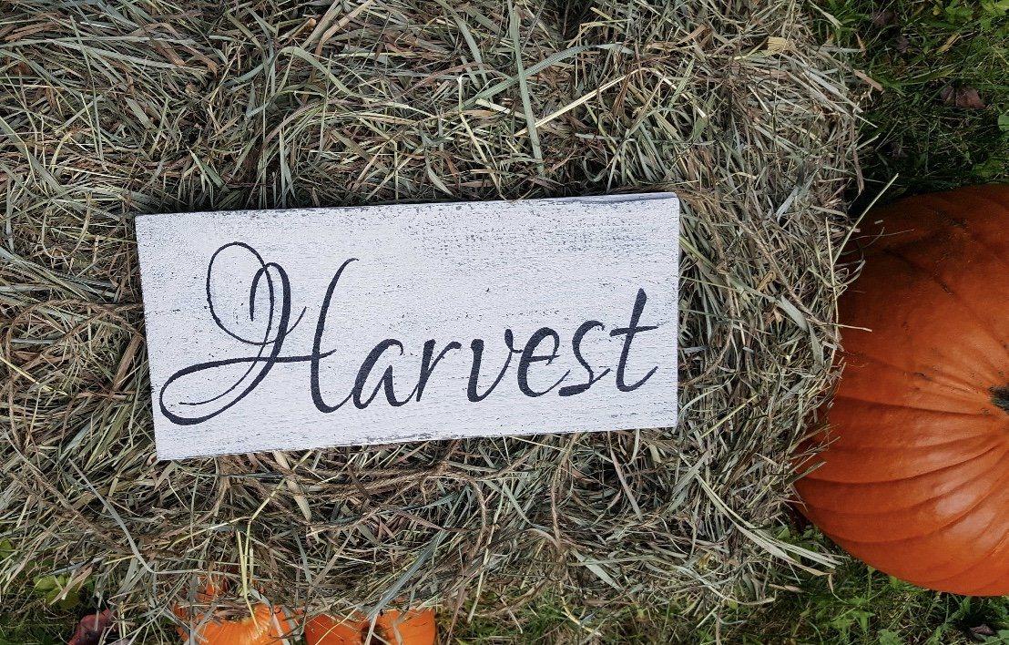 Rustic Harvest Sign - A Rustic Feeling