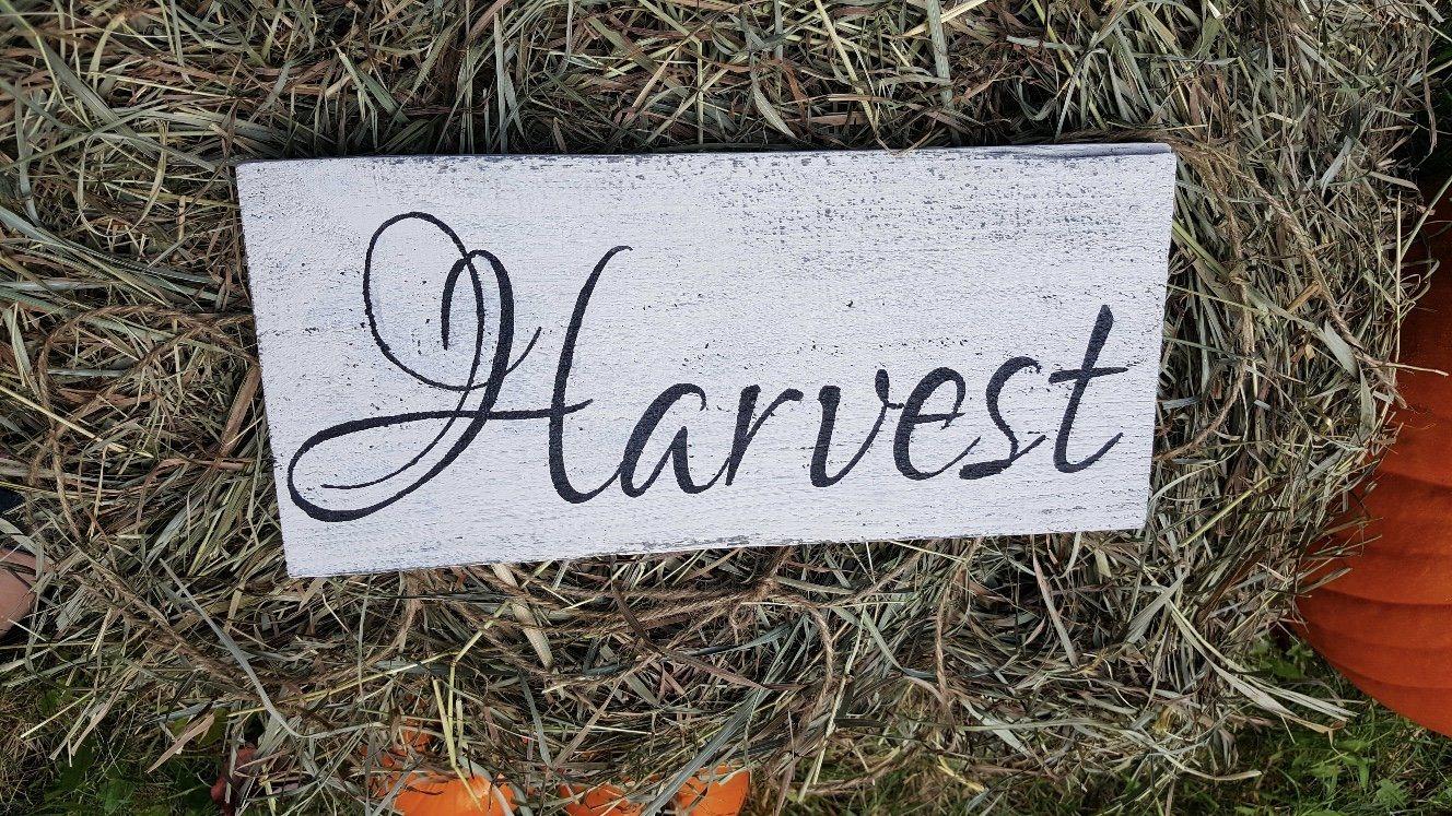 Rustic Harvest Sign - A Rustic Feeling