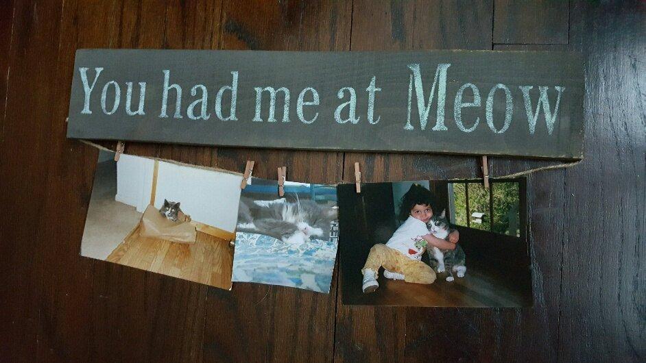 You Had Me At Meow Cat Lover Sign - A Rustic Feeling