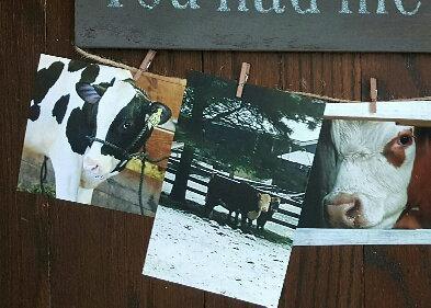 You Had Me At Moo Farmhouse Sign - A Rustic Feeling