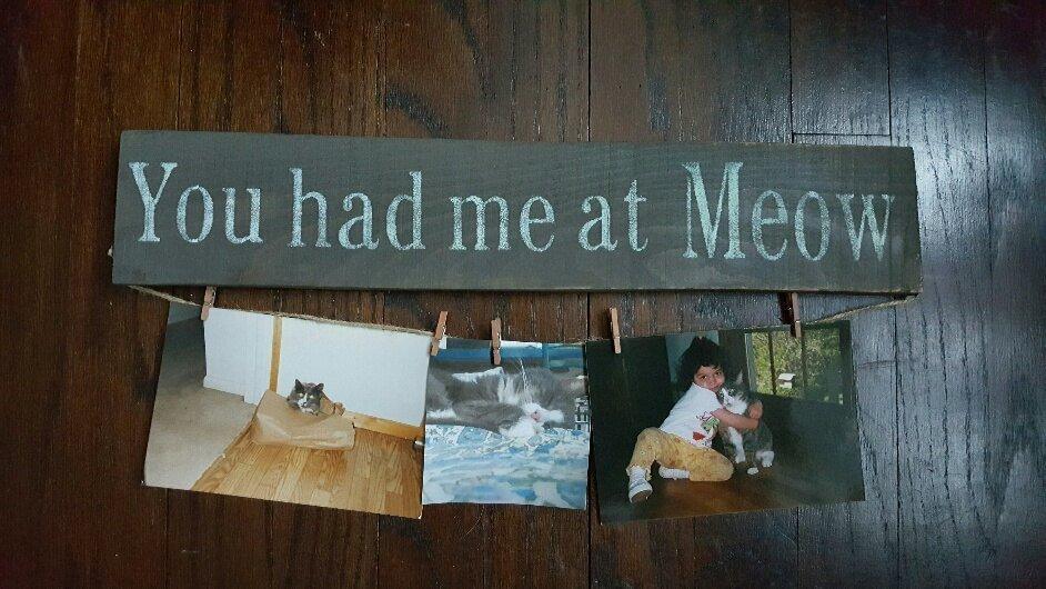 You Had Me At Meow Cat Lover Sign - A Rustic Feeling