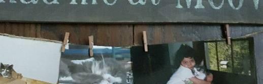 You Had Me At Meow Cat Lover Sign - A Rustic Feeling