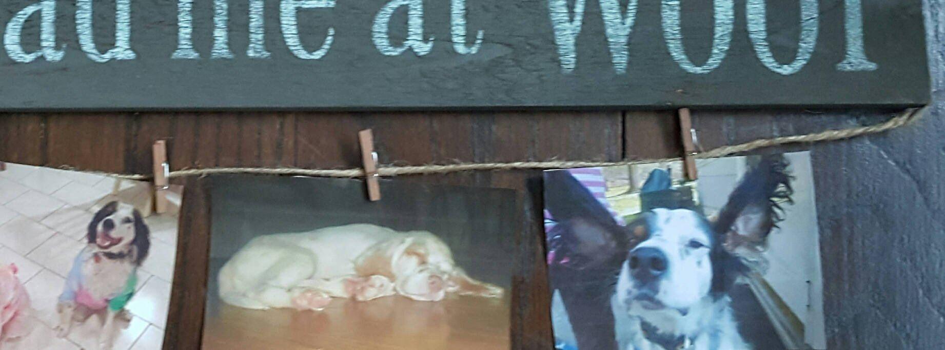 You Had Me At Woof Farmhouse Sign - A Rustic Feeling