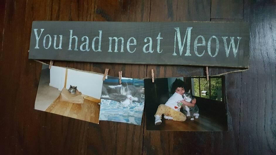 You Had Me At Meow Cat Lover Sign - A Rustic Feeling