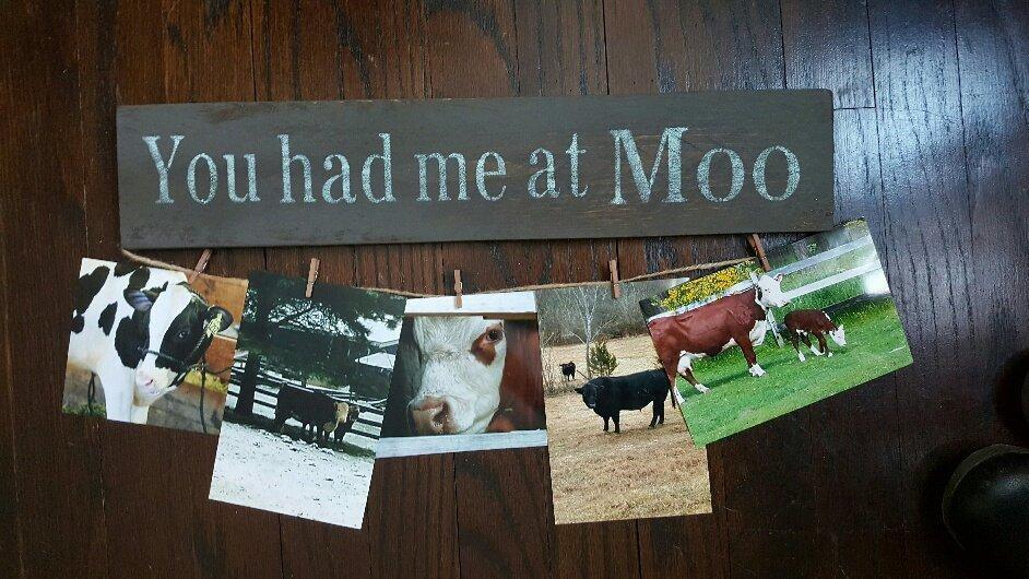 You Had Me At Moo Farmhouse Sign - A Rustic Feeling